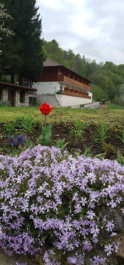 B&B Zlatna Nit Bosanska Krupa Exterior photo